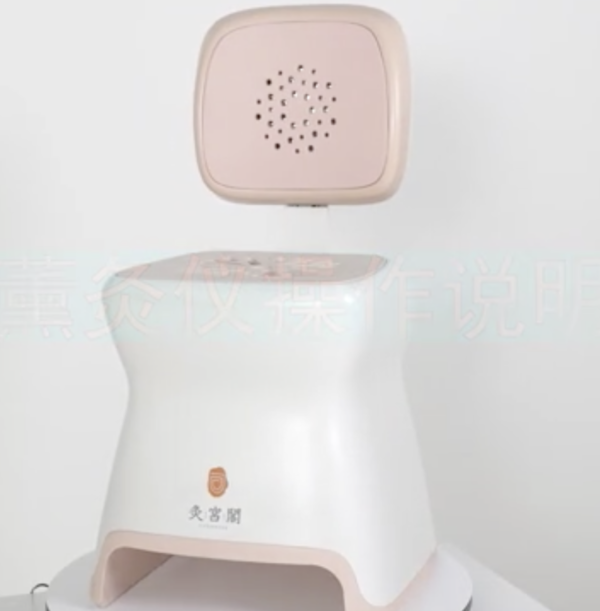 OEM Moxibustion Instrument Plastic Injection Mould Product